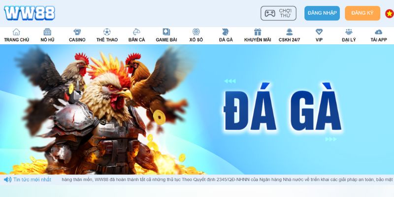 Sân chơi đá gà nổi tiếng phải thử ngay 2025