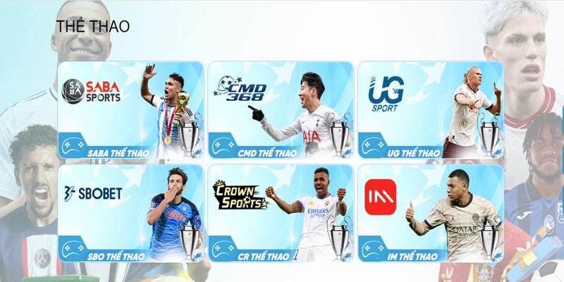 Hội viên tùy chọn sảnh thể thao KUBET